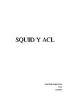Squid y ACL
