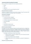 CARACTERÍSTICAS DESEABLES DE LOS PROBLEMAS DE INVESTIGACIÓN