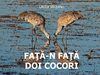 Laura Vaceanu - FATA-N FATA DOI COCORI