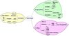 Carte mentale 6B