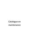 maintenance locaux industriels