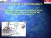 imagerie cerebrale en psychologie cognitive cours 7
