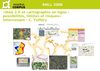 cartographie_en_ligne