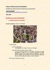 5ème - l'Eglise - cours - II.A.