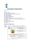 Estruturar um trabalho escrito