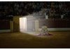 BULLFIGHITING 2008