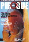 Pirogue mag n°1