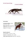 Sur les traces du loup - Bibliographie mai 2003