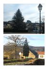 Molvange-Patrimoine Végétal