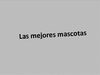mis mascotas
