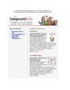 Categorynet.com du 23 janvier 2009
