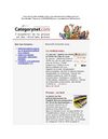 Categorynet.com du 28 janvier 2009