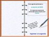 Agenda del docente del futuro.