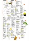 Plantes mellifères toute l'année