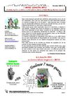 Toulouse7notrequartier journal n°24