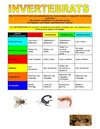 Els invertebrats (grup A1)