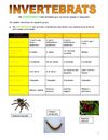 Els invertebrats (Grup B1)