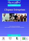 Présentation de l'Espace Entreprises du Pays des vallons de Vilaine (2009)