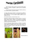 Plantas Carnivoras