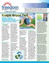 Freedom Debt Relief - Frugal Green Tips