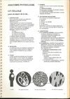 Anatomie