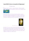 Exposé sur l'hippocampe de laura joron
