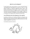 Les dinosaures