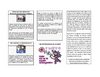 LETRA CURSIVA -BOLETIN