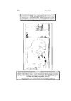 La tranche de Mille-feuilles et petit lu, n°4 : janvier 1994