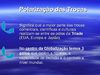 Economia C