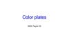 Angiosomes color plates