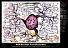 Self Concept Transformation Mind Map