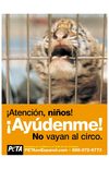 No vayan al Circo