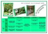 Planning_Marais