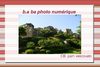 b.a ba de la photo numérique