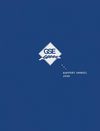 GSE Rapport Financier 2008