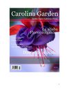 Carolina Garden - Febrero 2009