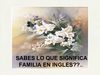 SIGNIFICADO_FAMILIA_EN_INGLES