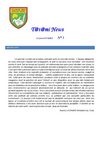 TATAMINEWS N°7 (Janvier 2009)