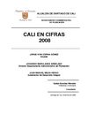 Cali en cifras 2008