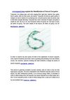 www.aypearl.com explain the Identification of Natural Turquoise