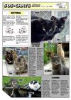 journal sos-chats 05 été