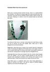 Handmade Black Onyx Jewelry from aypearl.com