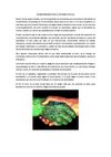 ACOMPAÑAMIENTO EN EL ENTORNO VIRTUAL