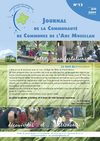 Bulletin N°13