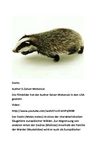 Dachs - Tiere Animals Natur SelMcKenzie Selzer-McKenzie