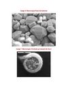 ensayocal1