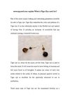 www.aypearl.com explain What is Tiger Eye used for