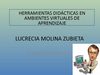 Herramientas didácticas en ambientes virtuales de aprendizaje. 
