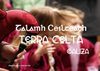 Terra Celta